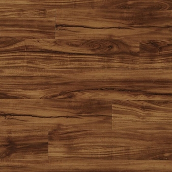 Coretec Plus Gold Coast Acacia