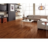 Coretec Plus Gold Coast Acacia