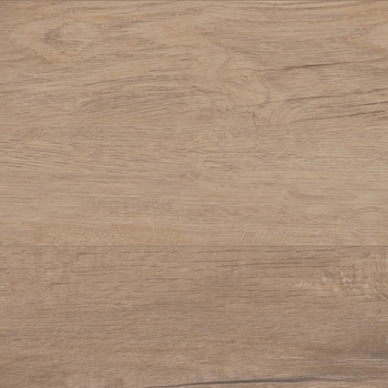 Coretec Plus Grande Goldin Oak