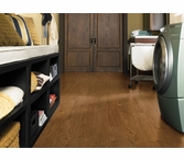 Coretec Plus Northwoods Oak