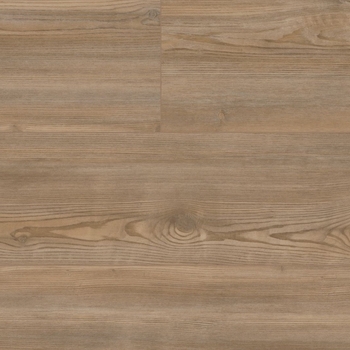 Coretec Plus Premium Treasure Pine