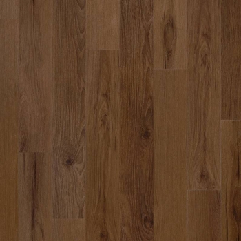 Coretec Plus Rogers Hickory