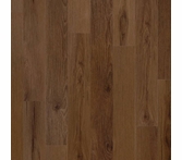 Coretec Plus Rogers Hickory