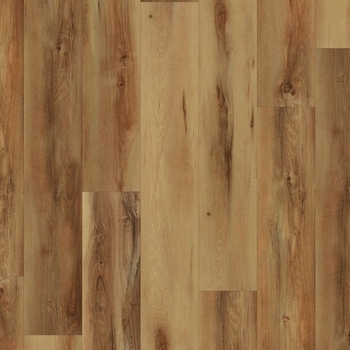 Coretec Pro Plus Belmont Hickory
