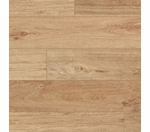 Coretec Pro Plus Enhanced Lyric Oak
