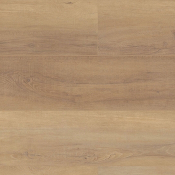 Coretec Pro Plus HD Canterbury Elm