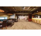 Coretec Pro Plus XL Enhanced Cairo Oak