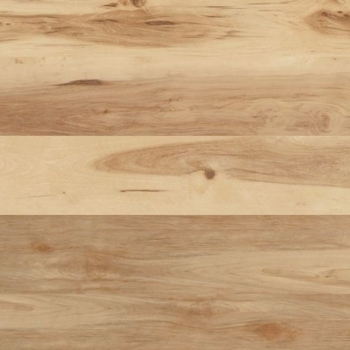 Coretec Pro Plus XL Havanna Hickory