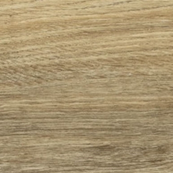 Daltile Adventuro Explorer