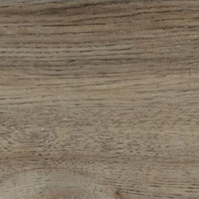 Daltile Adventuro Forest
