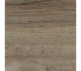 Daltile Adventuro Forest