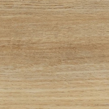 Daltile Adventuro Wander