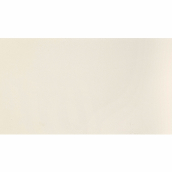 Daltile Composition Canvas Gloss 12" x 24"
