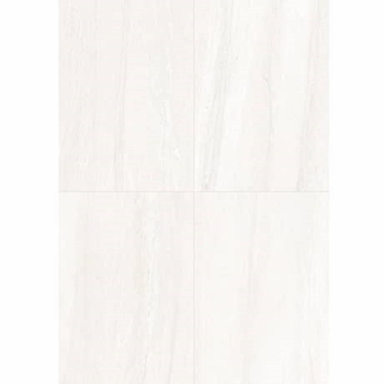 Daltile Linden Point Bianco 12" x 24"