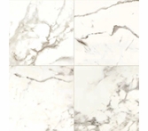 Daltile Marble Attache Calacatta 24 x 24