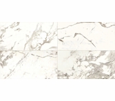 Daltile Marble Attache Calacatta 24 x 24