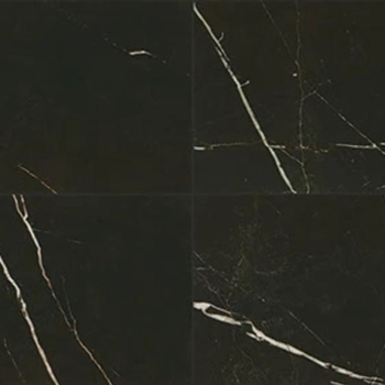 Daltile Marble Attache Nero 24 x 24