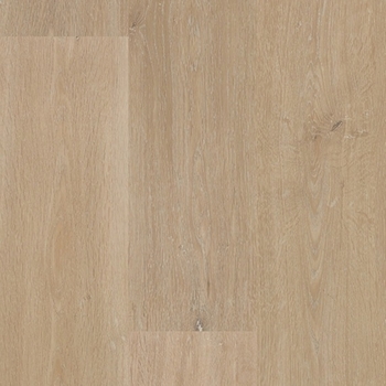 Daltile Pine Terrace Sugar