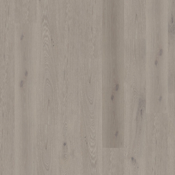 DuChateau Global Winds Lavante