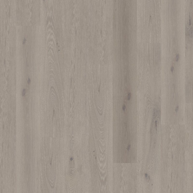 DuChateau Global Winds Lavante