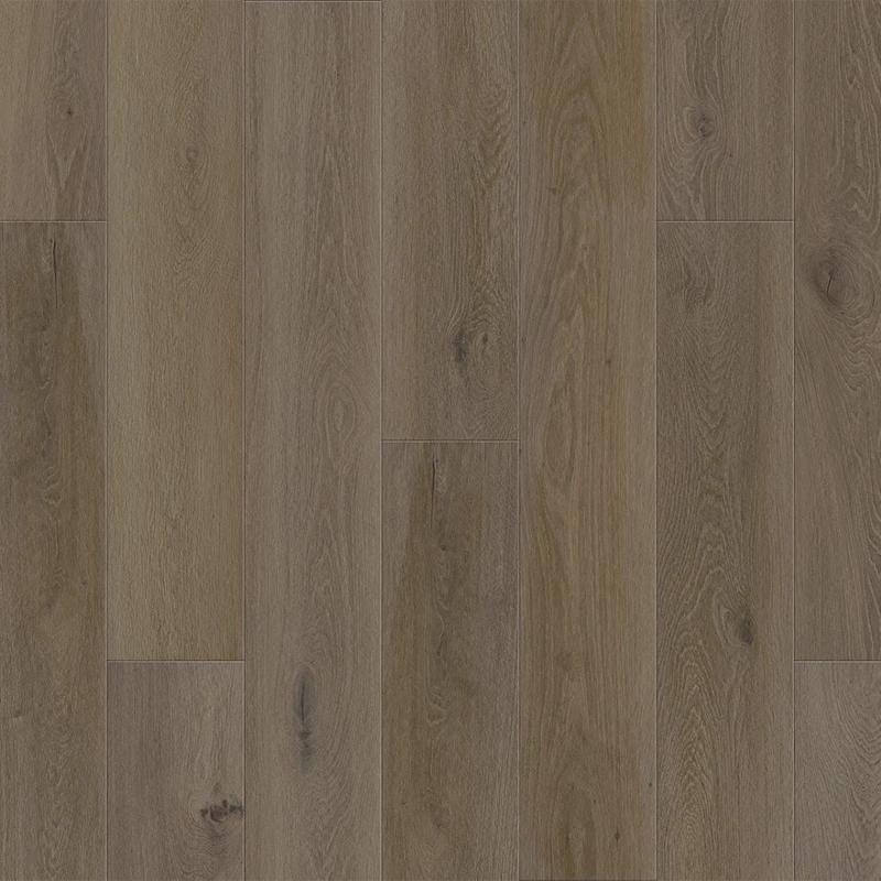 DuChateau Portfolio Terre