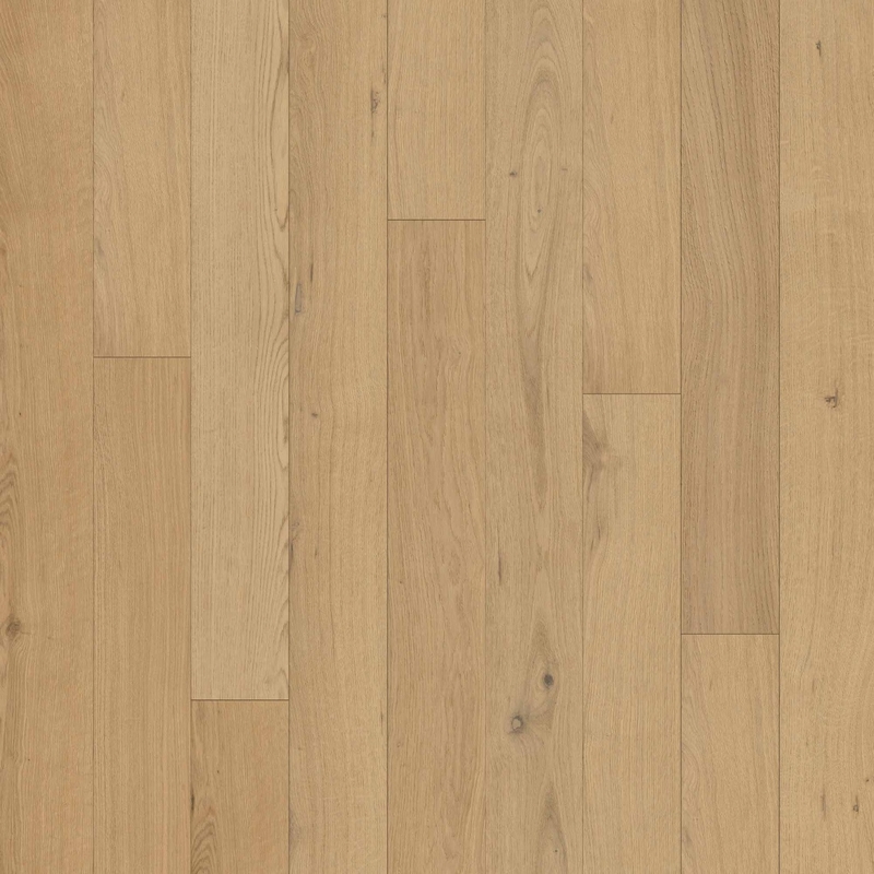 Earthwerks Escalera Palmera