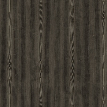 Ecore Attain Dark Ash