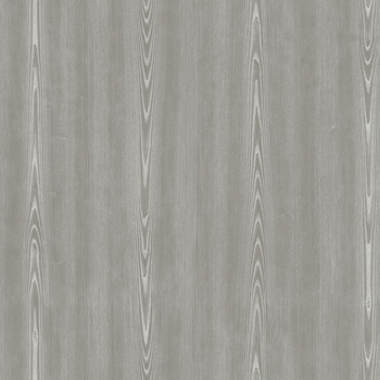 Ecore Attain Light Ash