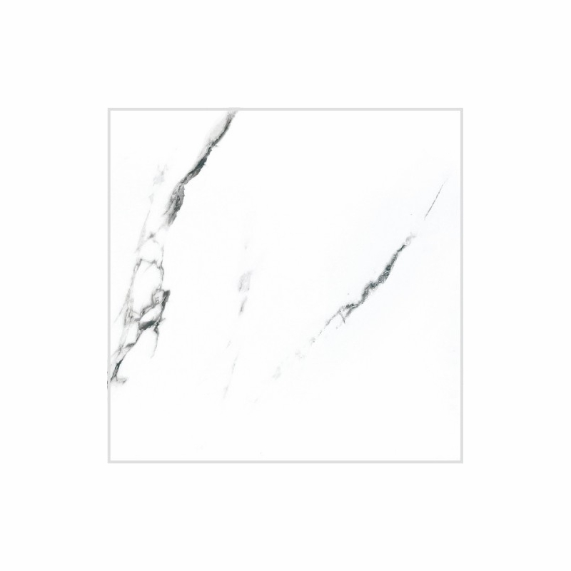 Eleganza Statuario Extra Marble 24" x 24"