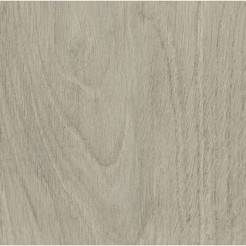 Eleganza Woodland Maple 8" x 48"