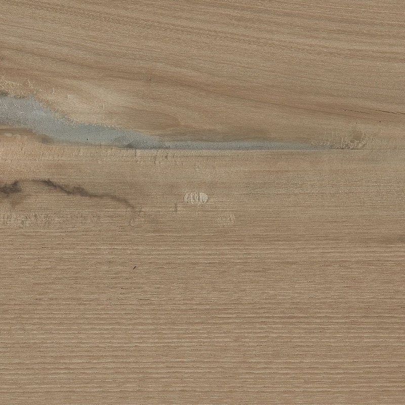 Emser Tile Hollywood Oak