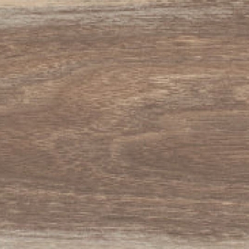 Emser Tile Orchard Midnight