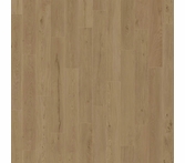 Engineered Floors American Standard Coronado