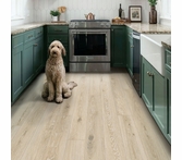 Engineered Floors Divine Stardust