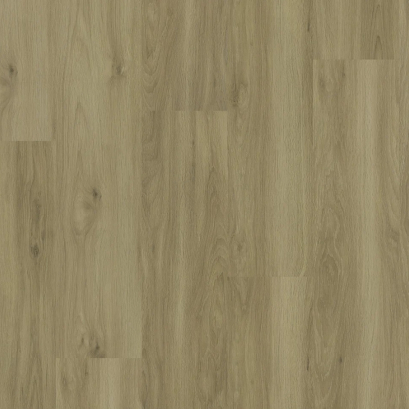 Eternity Ecodense Knox