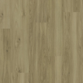 Eternity Ecodense Knox