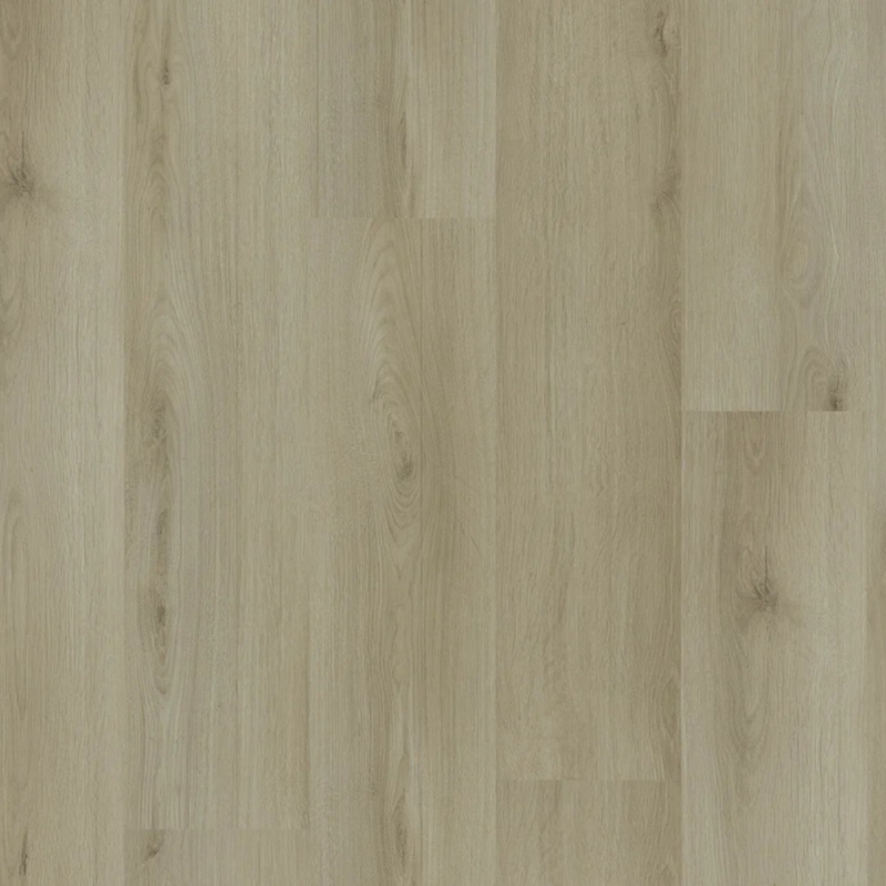 Eternity Ecodense Limestone