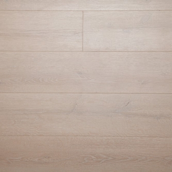 Eternity Proof XL Bellini