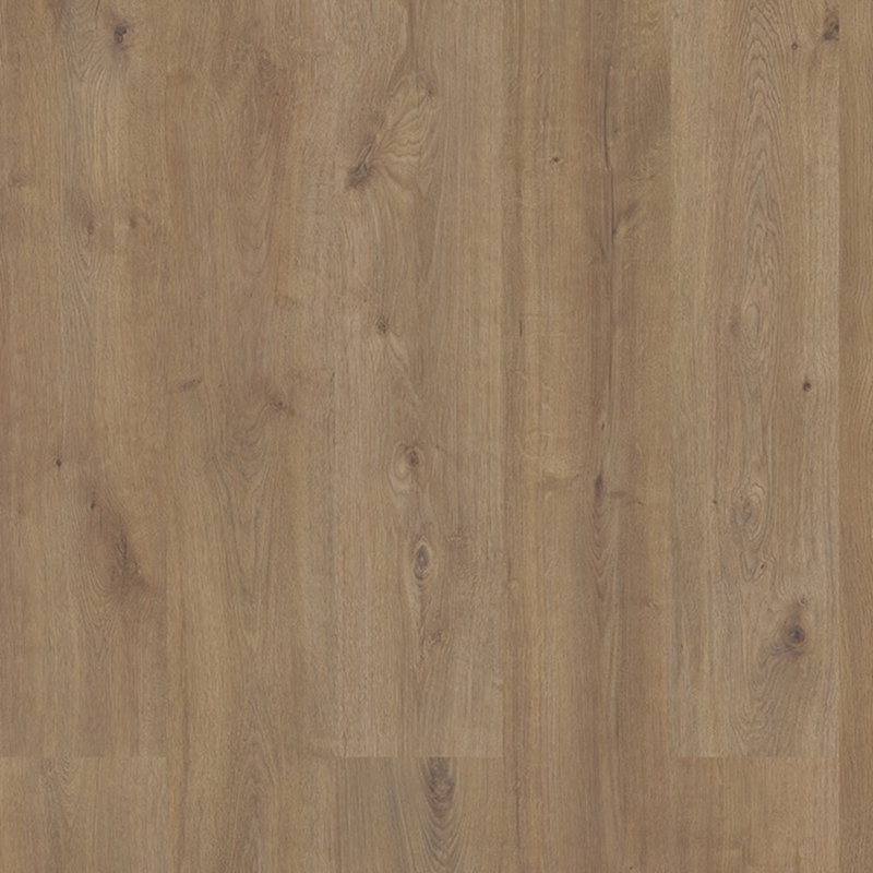 Eternity Sequoia XL Eagle Scout