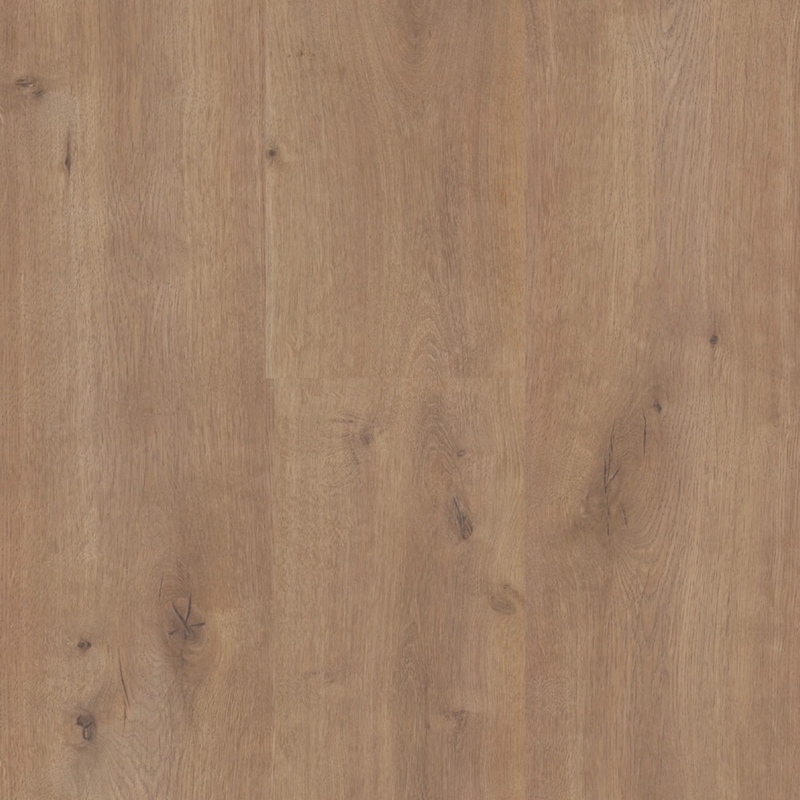 Eternity Sequoia XL Spring Lakes