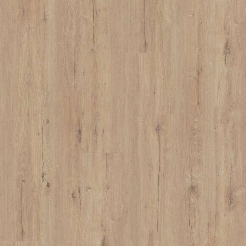 Eternity Voila Lady Oak