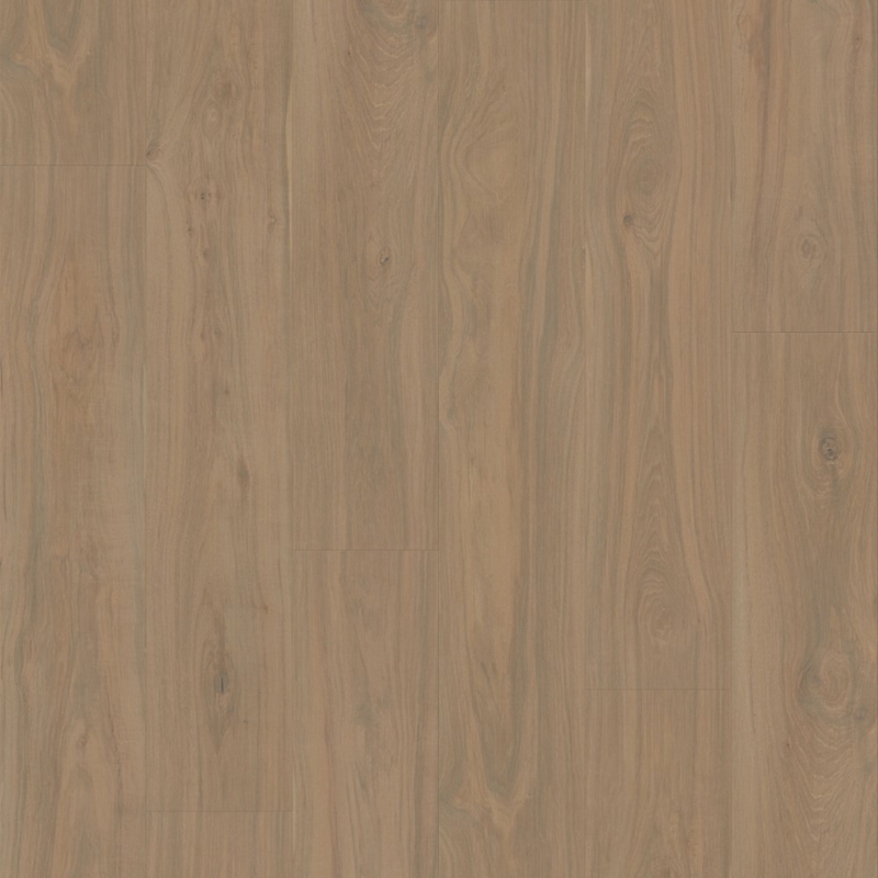 Eternity Voila Montana Hickory