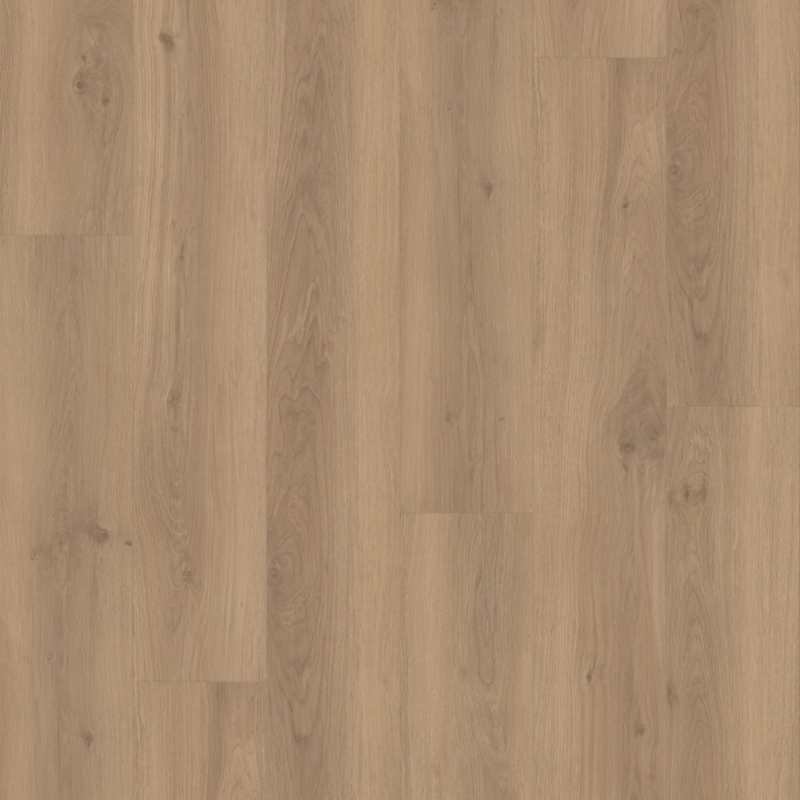 Eternity Voila Spenser Oak