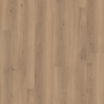 Eternity Voila Spenser Oak