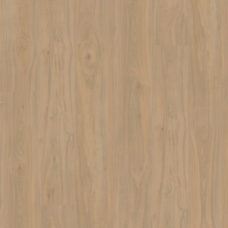 Eternity Voila Yellowstone Hickory