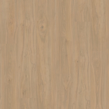 Eternity Voila Yellowstone Hickory