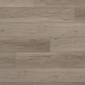 Evoke Astoria Tiercel