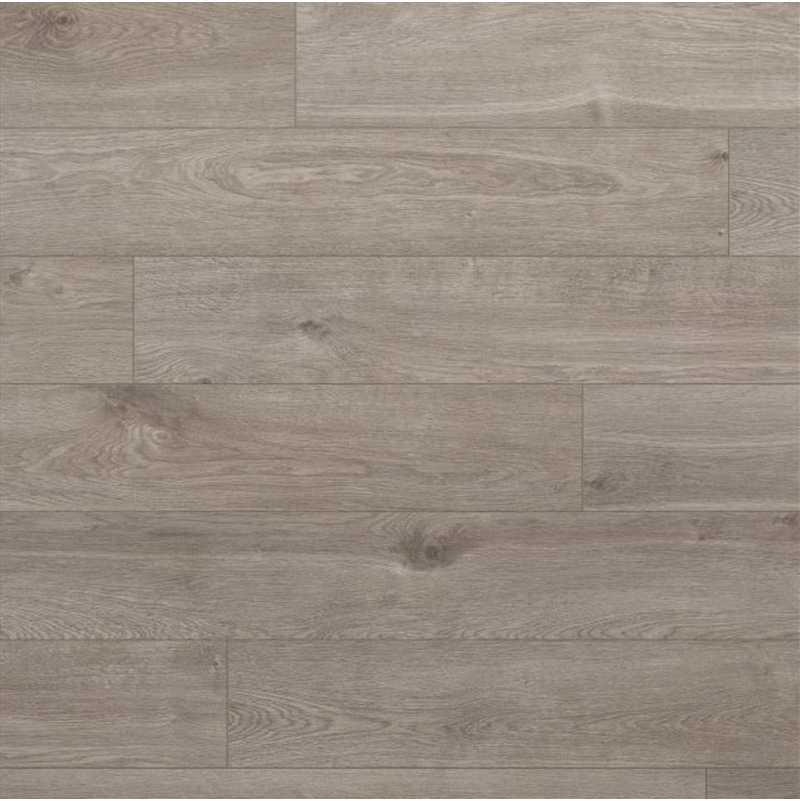 Evoke Surge Coastal Duke