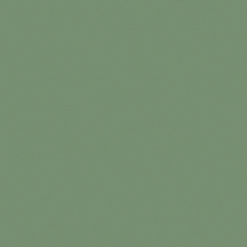Flexco Asparagus .080  x 4 inch X 120 feet Wall Base Vinyl
