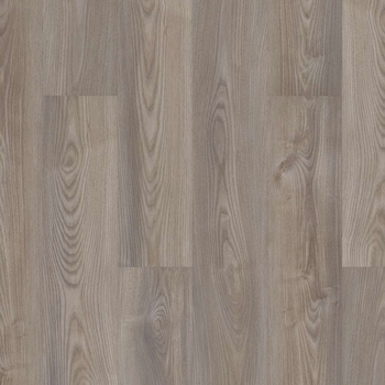 Shaw Anvil Plus Grey Chestnut